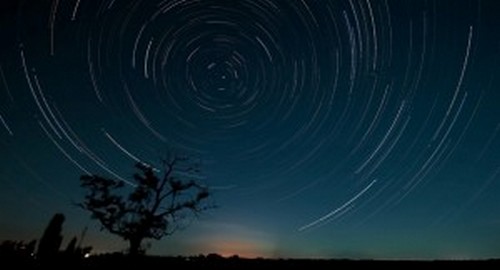 A madarak néhány nap múlva érzik a vihar közeledését. Hogyan?