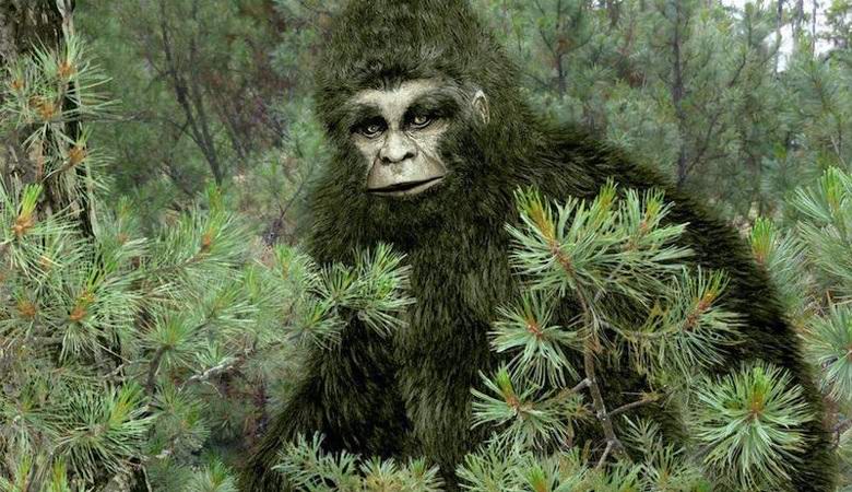 A hóember megrémítette a fotón a tatarstáni embereket