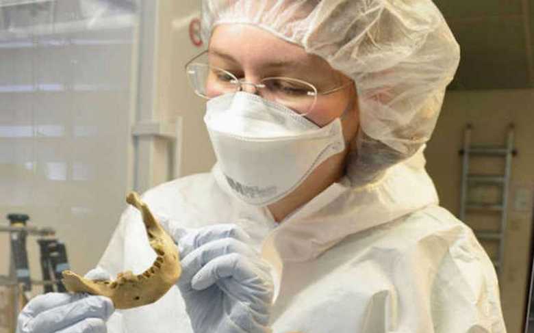 Az egyiptomi múmiák genomjának megfejtése meglepte a tudósokat