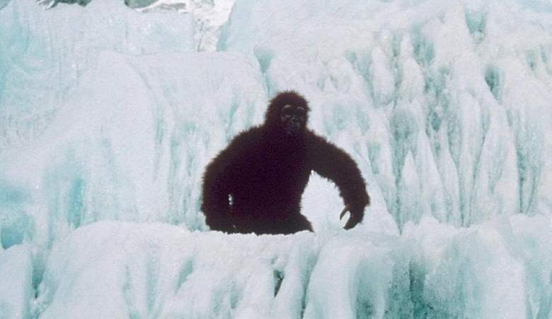 Nagylábú séta Oregonban, nyomja meg a videót