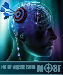 Az agy jobb féltekéjének fejlődése