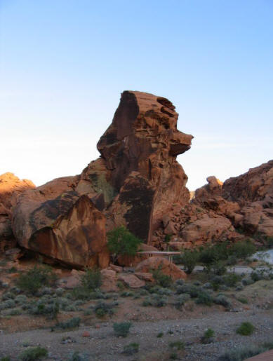 A hüllő lény megijesztette a motorosokat a Sonora-sivatagban