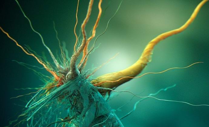 Az orosz tudósok idegen mikroorganizmusokat fedeztek fel Antarktiszon