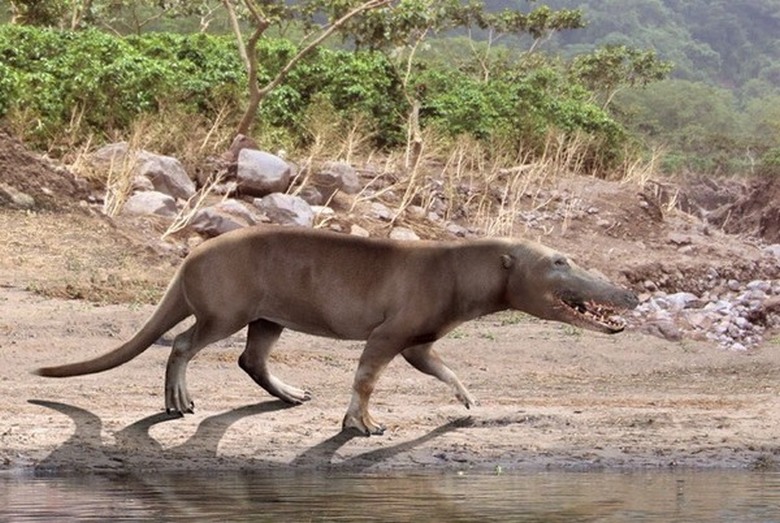 Az orosz tudósok 40 ezer évesnél fiatalabb lényeket ébresztettek