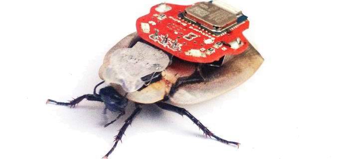 Az oroszok kifejlesztettek egy robot kémcsótányt