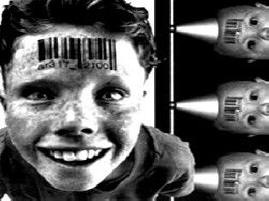 2014 májusától az újszülöttek az Egyesült Államokban és Európában csipkézésre kerülnek.