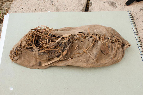 Worlds-legöregebb hétköznapi dolgok-3