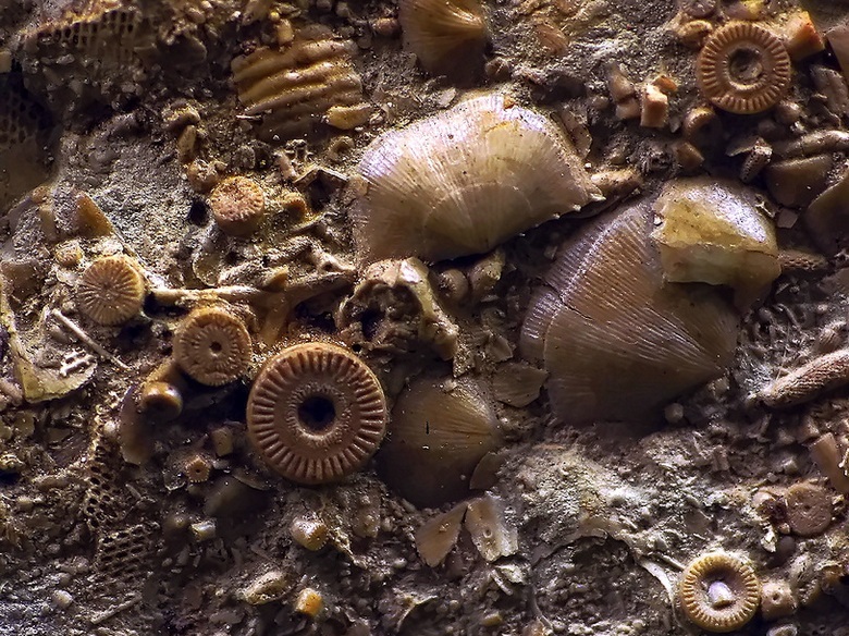 A legfantasztikusabb tárgyak nyom nélkül eltűnnek