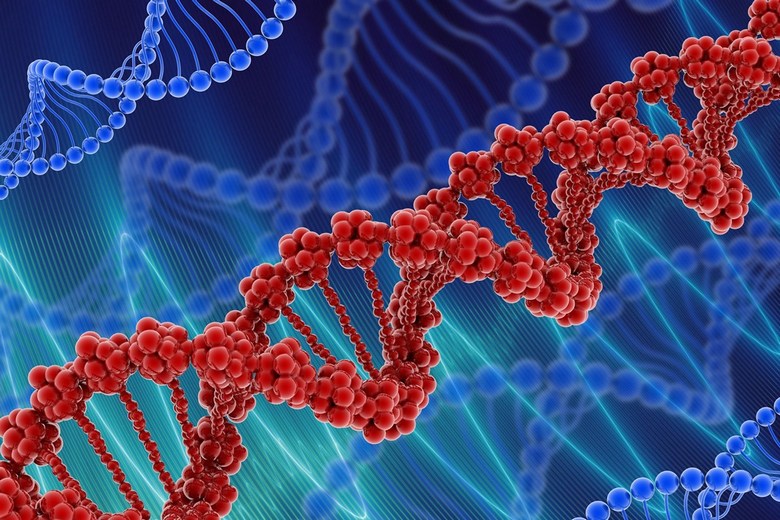 Hiba a génprogramban: a fiú foga nem nőtt ott, ahova kell lennie.