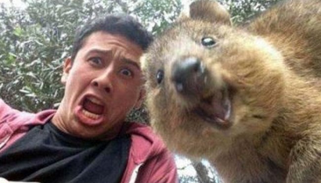 Szelfi videó - az egészségügyi állapot diagnosztizálásának modern típusa