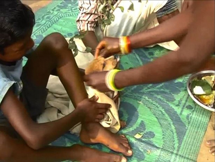 Egy hét éves fiú feleségül vett egy kóbor kutyát