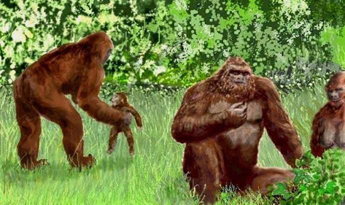 Egy hóember család esett bele a kamera lencséjébe