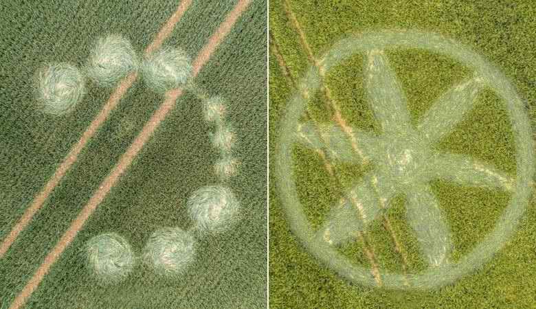 Nyitva van a szezon: új növénykörök jelennek meg aktívan Angliában