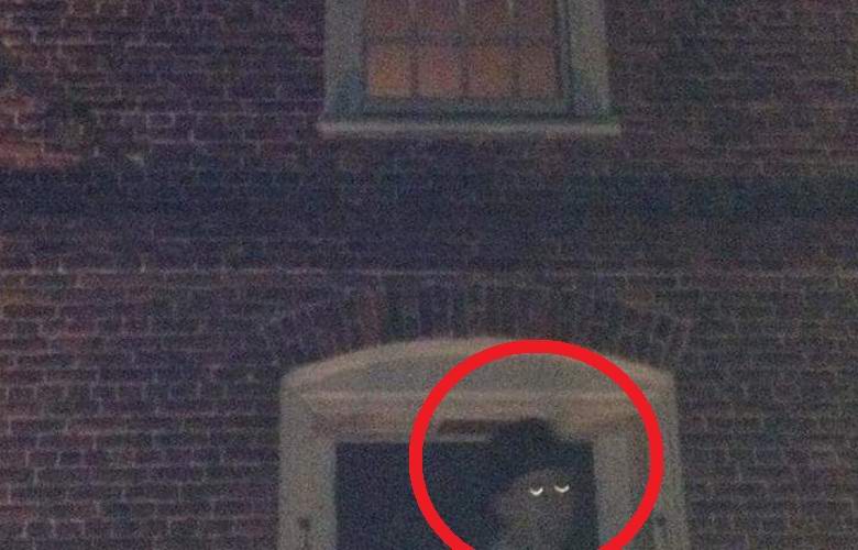 Egy furcsa szemű embert fényképeztek