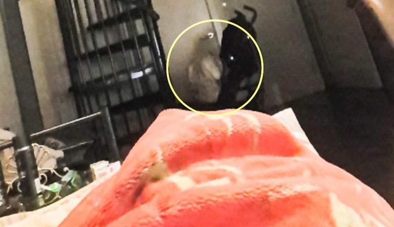 A lakás padlóján ülő baljós fantom fényképezte