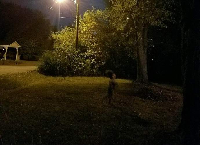 Egy furcsa lény fényképezte