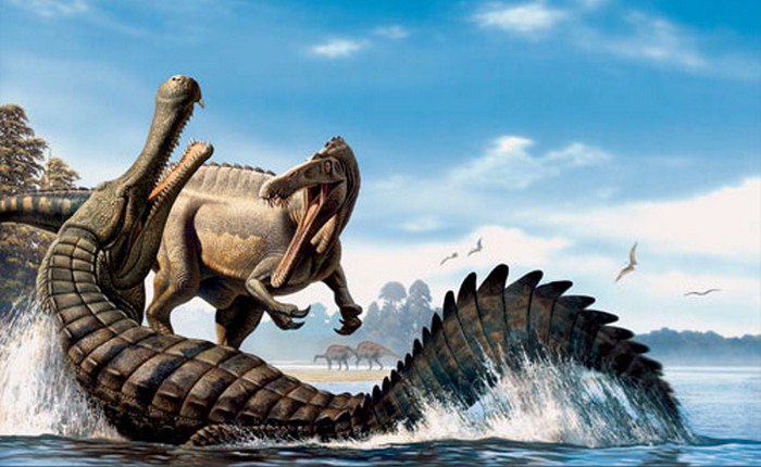 Champ - Nessie amerikai fickó