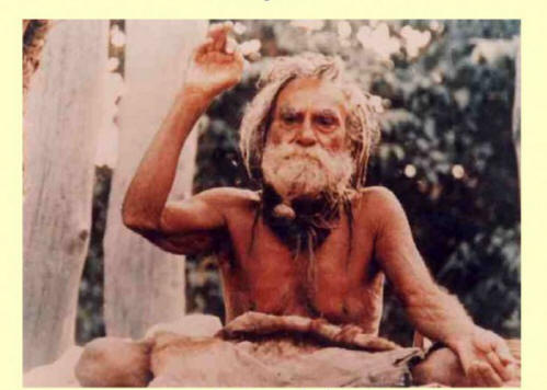 művészet, élet, hírességek, centenáriumok, Noé, Peng Zhu, Devraha Baba, Li Lingyuan, Henry Jenkins, Sarah