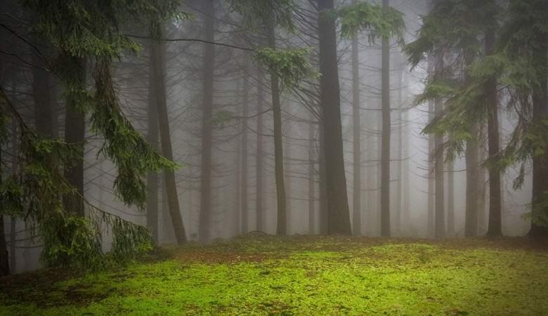 Vihar szél kényszerítette