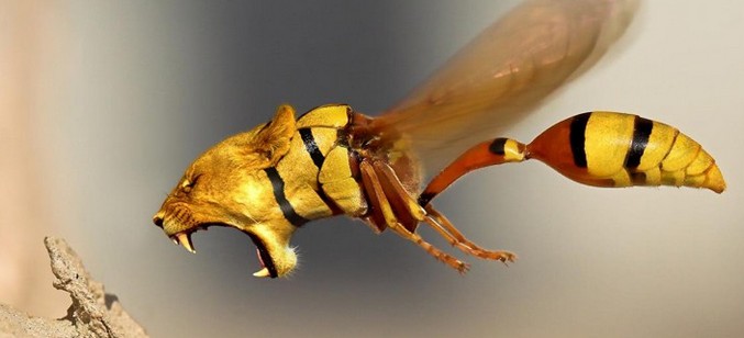 Tehetséges művész viccei