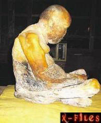 Az elpusztíthatatlan test szibériai csodája