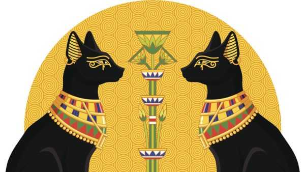 Macska szimbólum Egyiptomban 