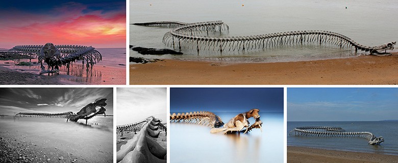 Egy 130 méteres kígyó csontváza