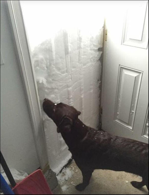 Az USA hóvihar-rendellenessége, vihar