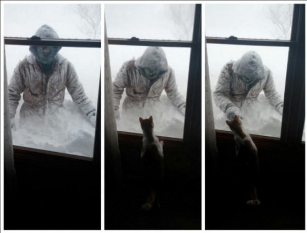 Az USA hóvihar-rendellenessége, vihar