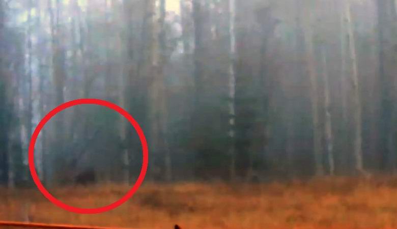 Egy hóember rönköt dobott az erdőbe