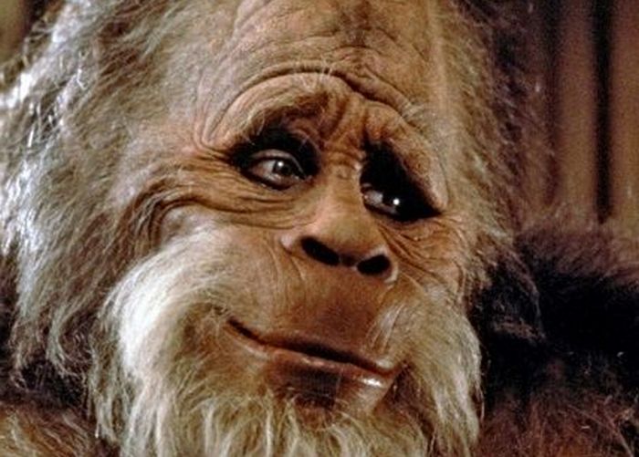 A Bigfoot erőszakossá vált