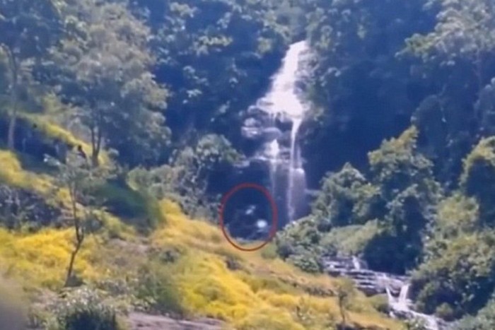 Nagyláb az indonéz dzsungelben