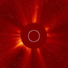 A nap kinyújtotta az óriási hernyót.