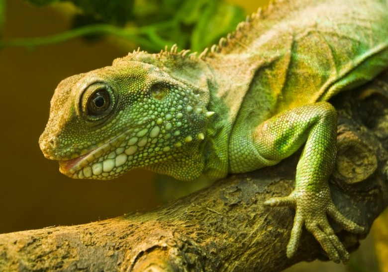 Kaméleonbevonatot készített az orosz fegyveres erők katonai felszerelései és katonai személyzete számára