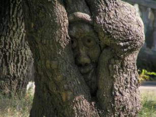 Fogadok, hogy nem tudta. Miért kopogunk a fára