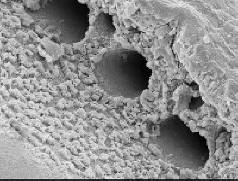 Az üveg nem hamarosan törhetõ el.