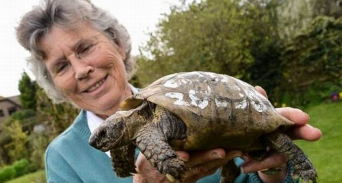A centenáriumi teknős hosszú vándorlás után tért haza
