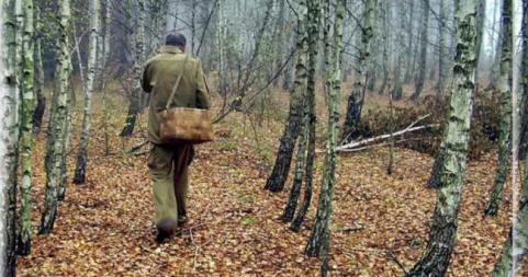 Furcsa eset egy gombaszedővel