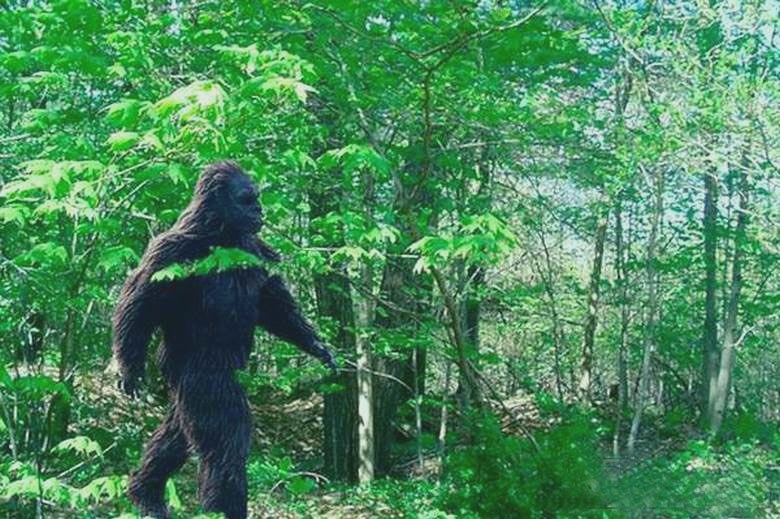 Egy furcsa humanoid lény esett a kamera lencséjébe