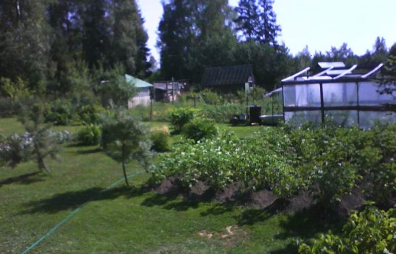 Egy furcsa arc az ablakban figyelmeztette a Vologda nőt a tüzekre