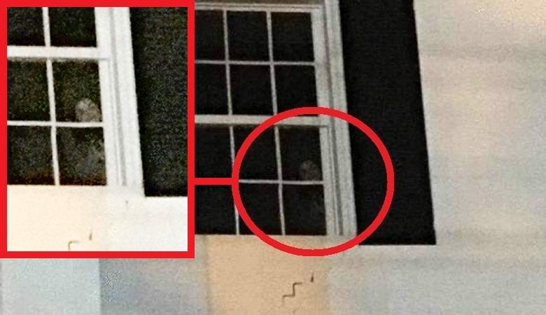 Az építő szellemet talált a megrendelő fotóján