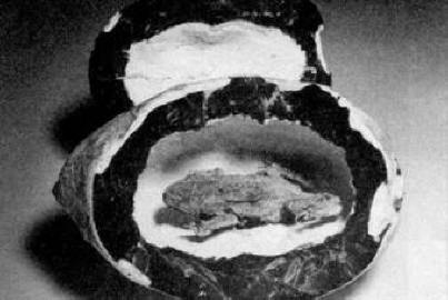 Más időkből származó lények