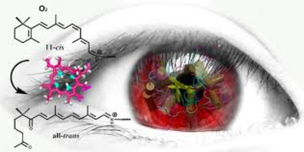 Van egy rákkezelés, amely „éjszakai látást” biztosít az emberek számára, és most már tudjuk, miért 