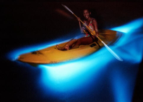 Ragyog, és nincs köröm