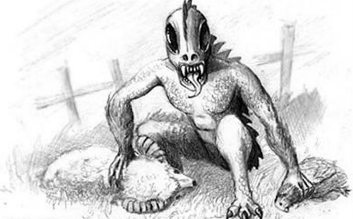 A titokzatos chupacabra megjelent a Kárpát-vidéken