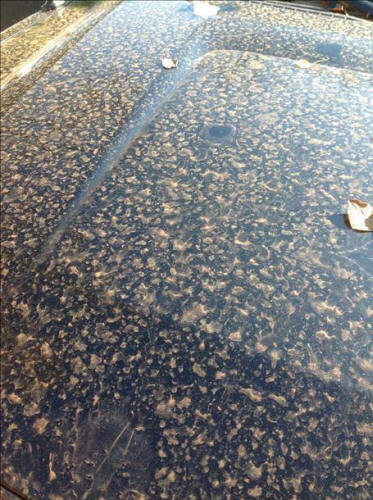 Kép megtekintése a Twitteren