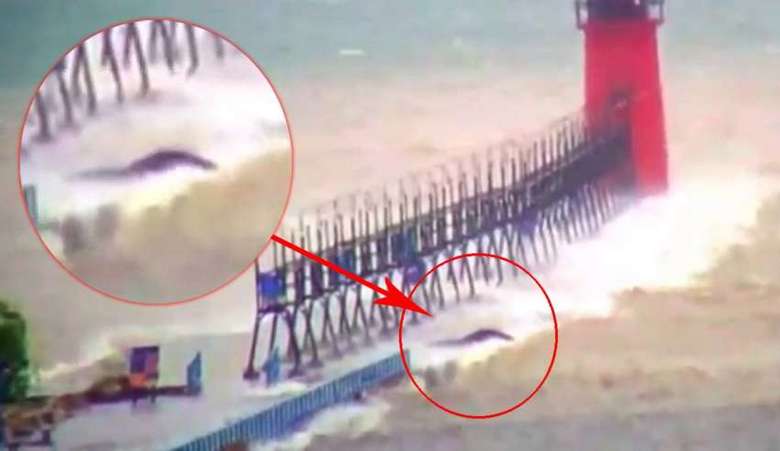 A Michigan-tónál felfedezett titokzatos lény