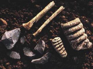 Az eltűnt Nittaevo törzs rejtélye