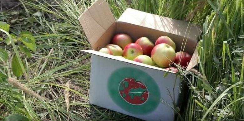 A tambovi alma eljut az űrbe