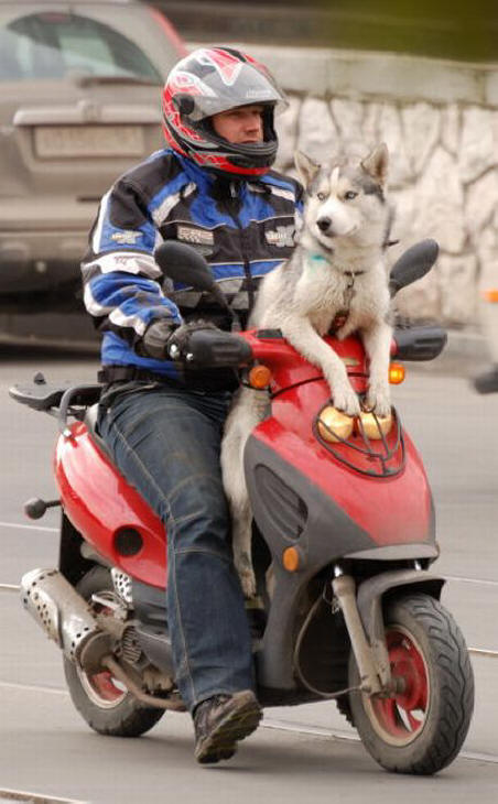 Csak Oroszországban (38 fénykép)